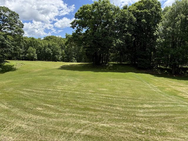8980 Canyon Springs Court, Canadian Lakes, MI 49346