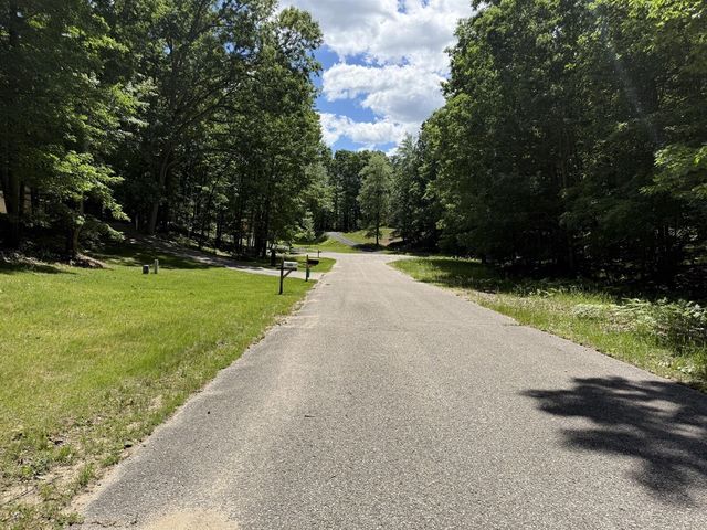 8980 Canyon Springs Court, Canadian Lakes, MI 49346