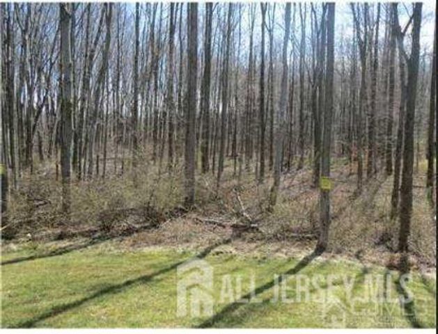 1056 Morning Glory Drive, Monroe, NJ 08831