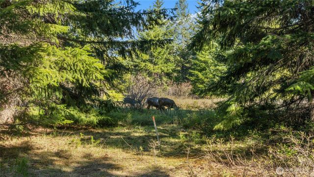 90 Gold Fountain Lane, Cle Elum, WA 98922