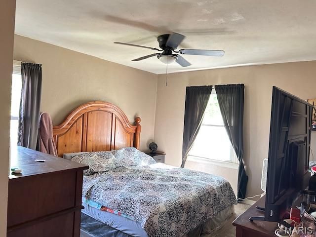 10243 Saint Katherine Lane, St Ann, MO 63074