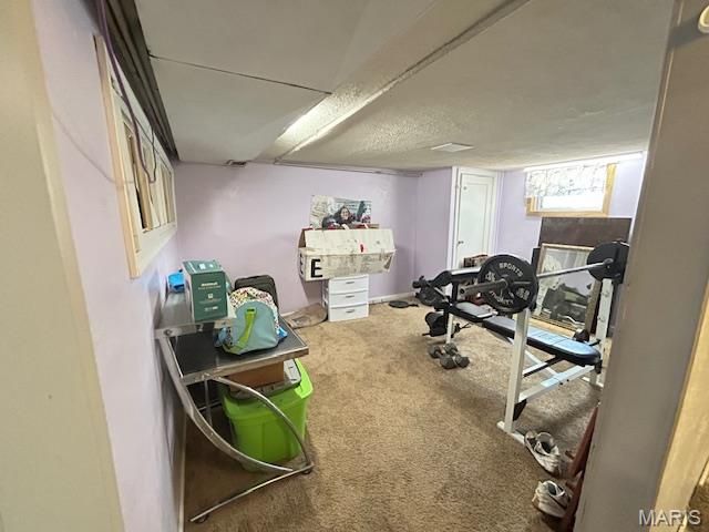 10243 Saint Katherine Lane, St Ann, MO 63074