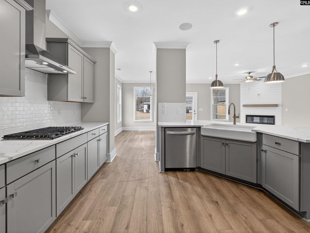 29 Elk Run Court, Chapin, SC 29036