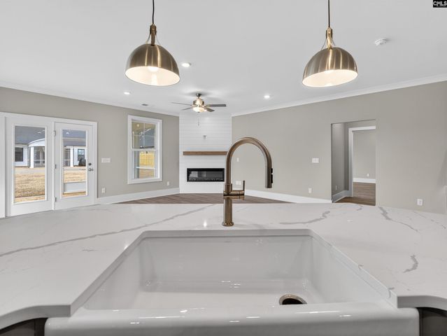 29 Elk Run Court, Chapin, SC 29036