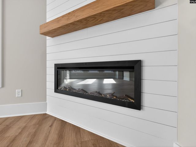 29 Elk Run Court, Chapin, SC 29036