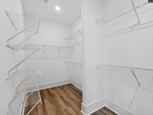 29 Elk Run Court, Chapin, SC 29036