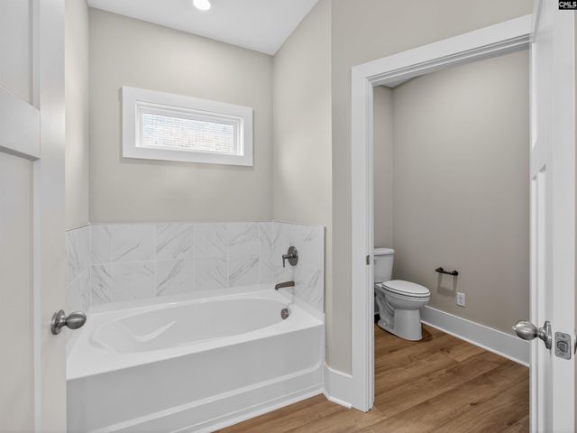 29 Elk Run Court, Chapin, SC 29036