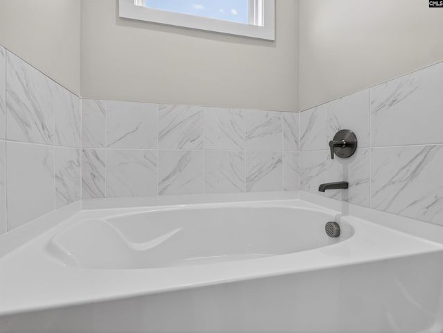 29 Elk Run Court, Chapin, SC 29036