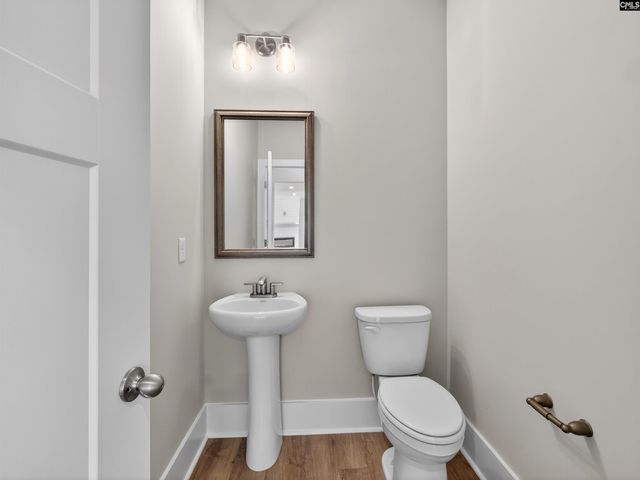 29 Elk Run Court, Chapin, SC 29036