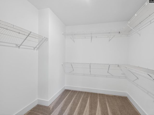 29 Elk Run Court, Chapin, SC 29036