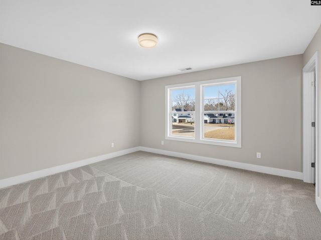 29 Elk Run Court, Chapin, SC 29036