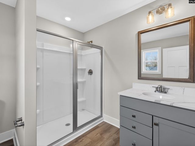 29 Elk Run Court, Chapin, SC 29036