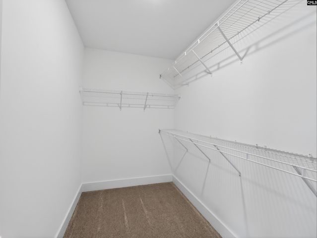 29 Elk Run Court, Chapin, SC 29036