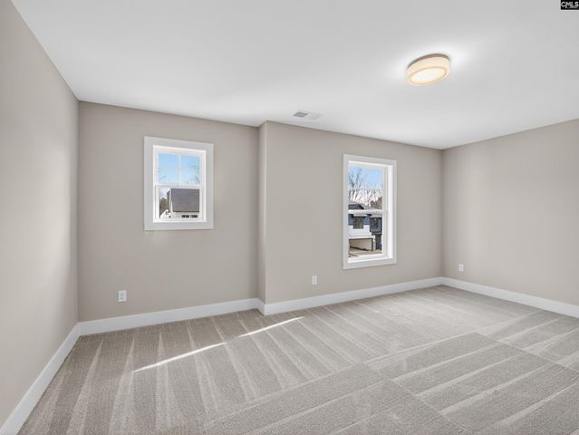 29 Elk Run Court, Chapin, SC 29036