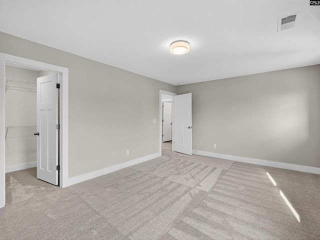 29 Elk Run Court, Chapin, SC 29036