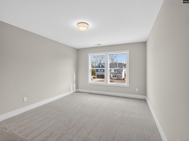 29 Elk Run Court, Chapin, SC 29036