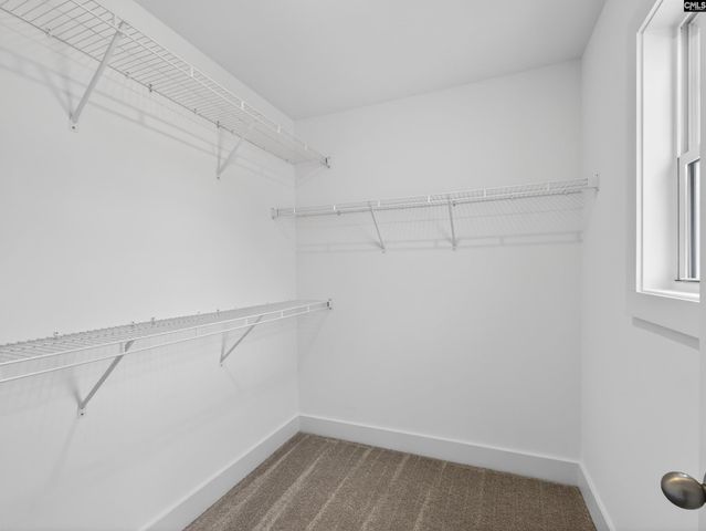 29 Elk Run Court, Chapin, SC 29036