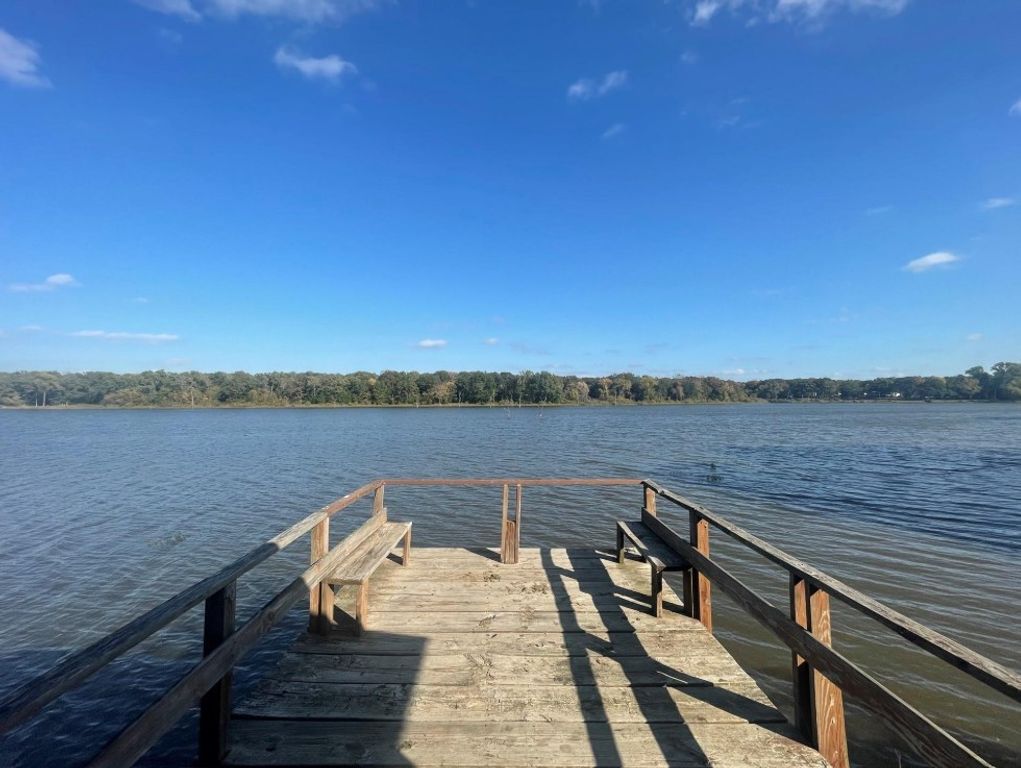 1000 Wood Duck Trace, Quinlan, TX 75474