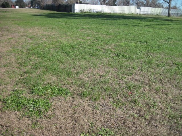 0 Highway 36, Brazoria, TX 77422