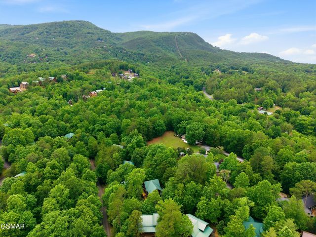2920 Raven Fork Circle, Sevierville, TN 37876