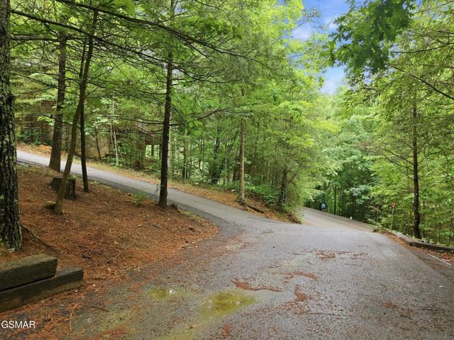 2920 Raven Fork Circle, Sevierville, TN 37876