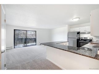 893 Straight Creek Dr 203, Dillon, CO 80435