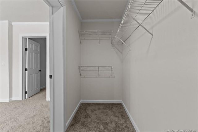 189 Little Coharie Lane, Roseboro, NC 28382