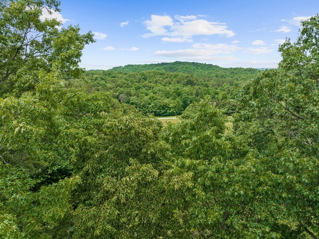 177 Shangri La Drive, Mineral Bluff, GA 30559