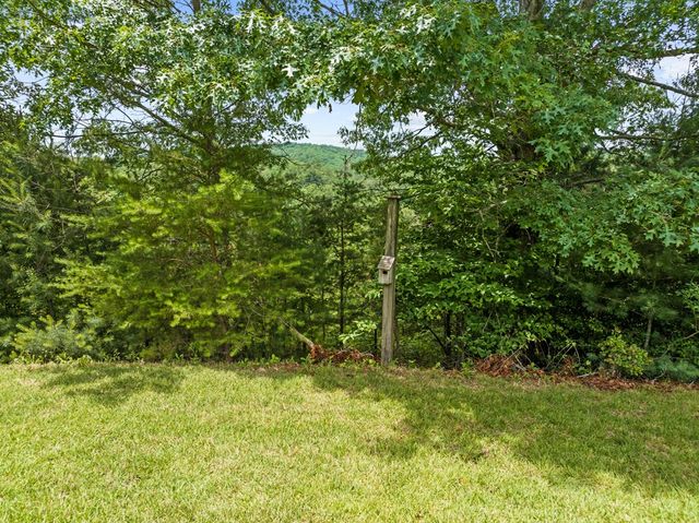 177 Shangri La Drive, Mineral Bluff, GA 30559