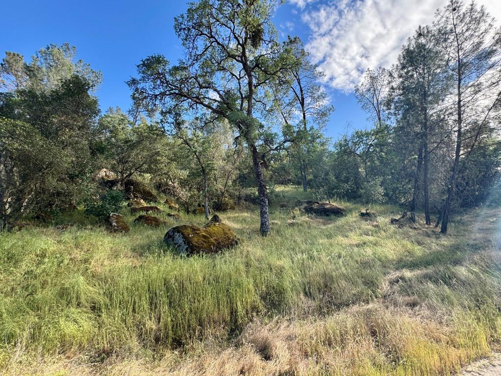 Image 2 of property listing at 1 Road 400, Coarsegold, CA 93614