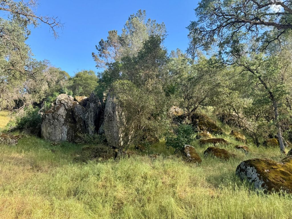 Image 3 of property listing at 1 Road 400, Coarsegold, CA 93614
