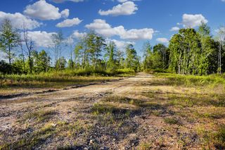 8 Hwy 232, Stewart, TN 37175