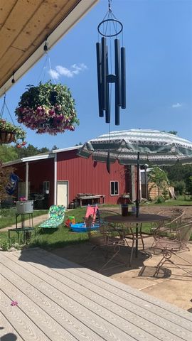 13625 Potter Road, Bear Lake, MI 49614