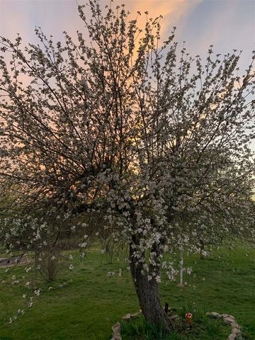 13625 Potter Road, Bear Lake, MI 49614