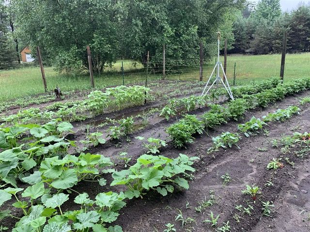 13625 Potter Road, Bear Lake, MI 49614