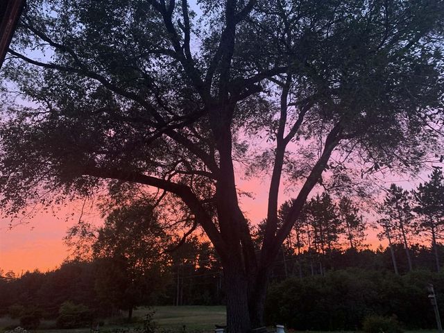 13625 Potter Road, Bear Lake, MI 49614