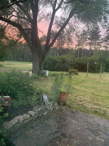 13625 Potter Road, Bear Lake, MI 49614