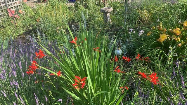 13625 Potter Road, Bear Lake, MI 49614