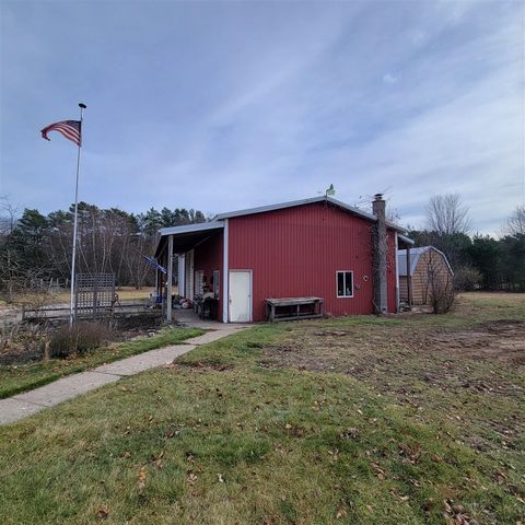 13625 Potter Road, Bear Lake, MI 49614