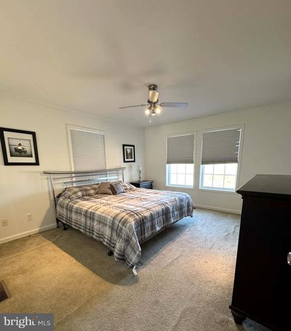 34 VIRGINIA, Earleville, MD 21919