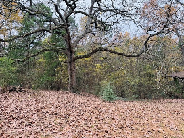 9689 Farm Road 1448, Winnsboro, TX 75494