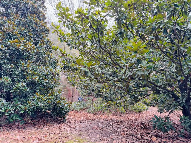 9689 Farm Road 1448, Winnsboro, TX 75494