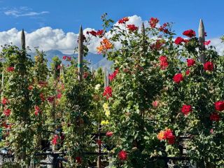 2245 California Avenue, Fillmore, CA 93015