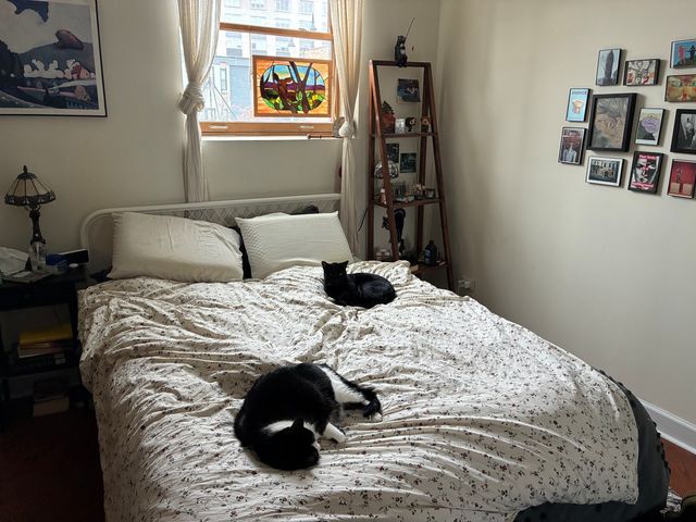 1531 W Hollywood Avenue 2, Chicago, IL 60660