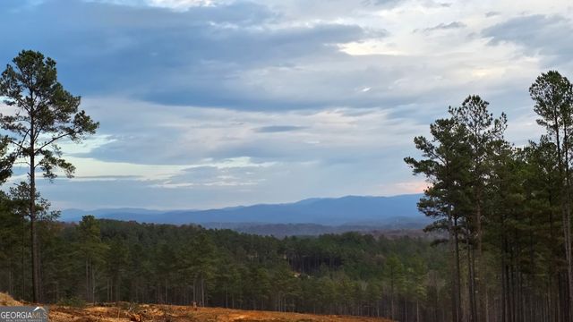 111 Staunton Court, Ellijay, GA 30540