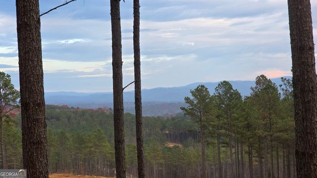 111 Staunton Court, Ellijay, GA 30540