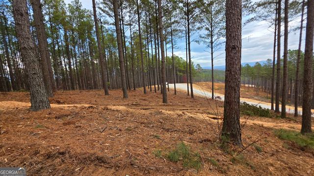 111 Staunton Court, Ellijay, GA 30540