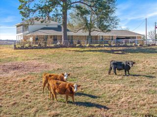 1700 Fm 1995, Van, TX 75790