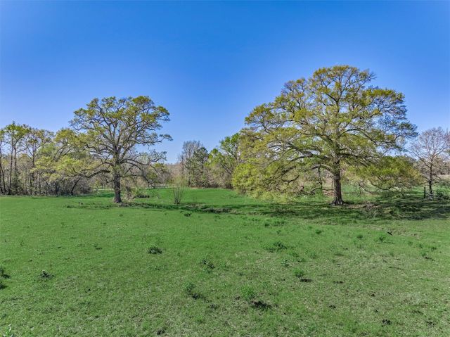 TBD Bailey Grove Rd, Montgomery, TX 77356