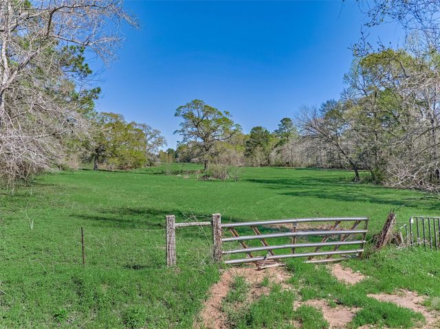 TBD Bailey Grove Rd, Montgomery, TX 77356